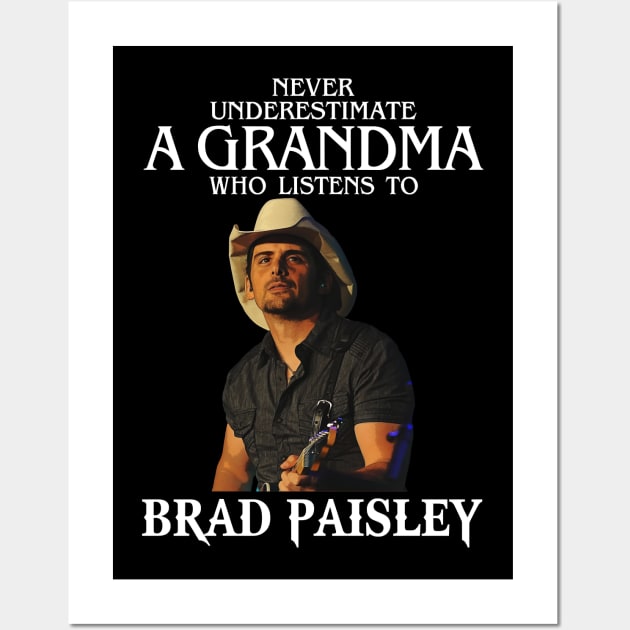 Country Inspirations Brad Paisley's Musical Motivation Sources Wall Art by Quotes About Stupid People